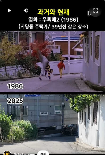 17550867181094.png