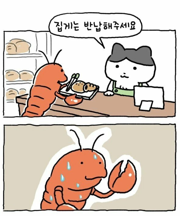 17578298436367.jpg