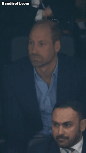17793650044614.gif