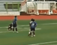 17562674096622.gif